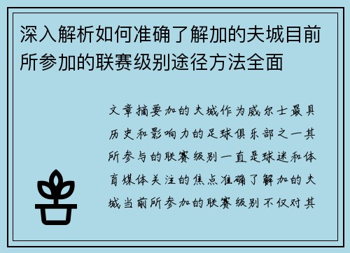 深入解析如何准确了解加的夫城目前所参加的联赛级别途径方法全面