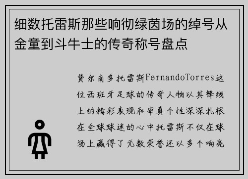 细数托雷斯那些响彻绿茵场的绰号从金童到斗牛士的传奇称号盘点