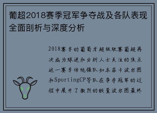 葡超2018赛季冠军争夺战及各队表现全面剖析与深度分析