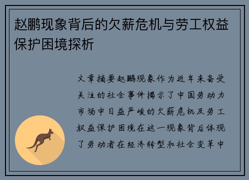 赵鹏现象背后的欠薪危机与劳工权益保护困境探析